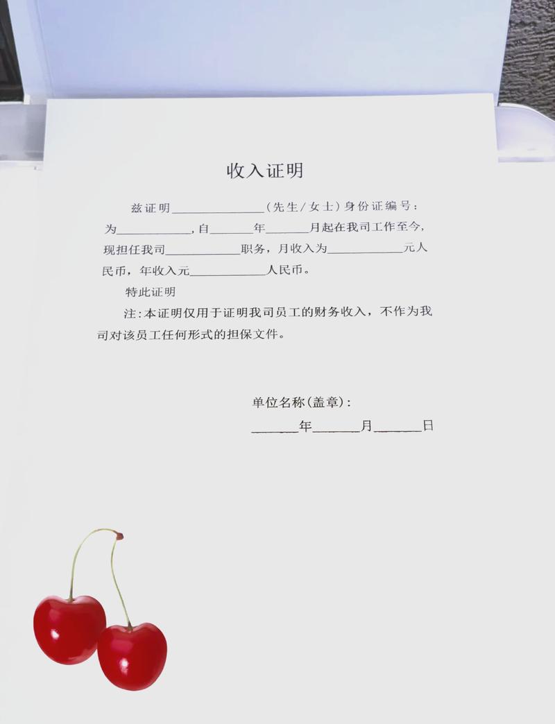 青岛代开收入证明的正确姿势：张会计的突围战